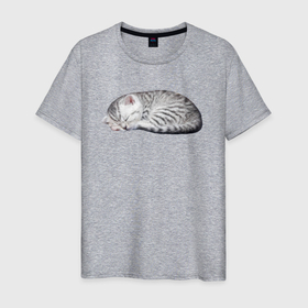 Мужская футболка хлопок с принтом Спящий серый полосатый котенок в Кировске, 100% хлопок | прямой крой, круглый вырез горловины, длина до линии бедер, слегка спущенное плечо. | 