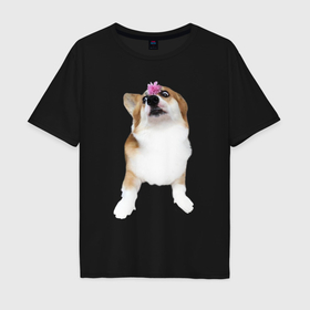 Мужская футболка хлопок Oversize с принтом Взрослая собака корги в Кировске, 100% хлопок | свободный крой, круглый ворот, “спинка” длиннее передней части | 