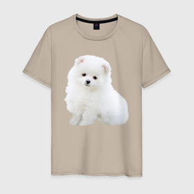 Мужская футболка хлопок с принтом Белый щенок породы шпиц в Белгороде, 100% хлопок | прямой крой, круглый вырез горловины, длина до линии бедер, слегка спущенное плечо. | 