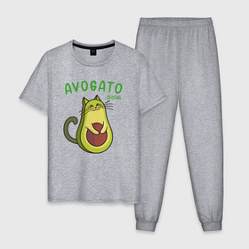 Мужская пижама хлопок с принтом Hola avogato в Курске, 100% хлопок | брюки и футболка прямого кроя, без карманов, на брюках мягкая резинка на поясе и по низу штанин
 | 