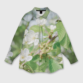 Мужская рубашка oversize 3D с принтом Цветущая ветка вишни, фото ,  |  | Тематика изображения на принте: 