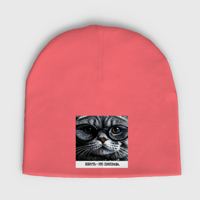 Мужская шапка демисезонная с принтом Мем кот в очках: шерсть это приправа в Екатеринбурге,  |  | Тематика изображения на принте: 