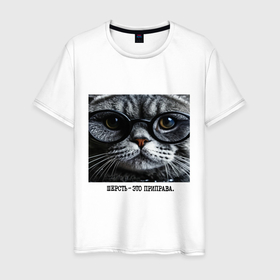Мужская футболка хлопок с принтом Мем кот в очках: шерсть это приправа в Белгороде, 100% хлопок | прямой крой, круглый вырез горловины, длина до линии бедер, слегка спущенное плечо. | 