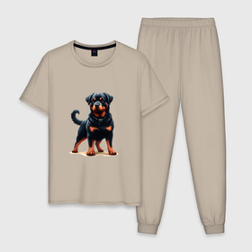 Мужская пижама хлопок с принтом Ротвейлер черный в Курске, 100% хлопок | брюки и футболка прямого кроя, без карманов, на брюках мягкая резинка на поясе и по низу штанин
 | 