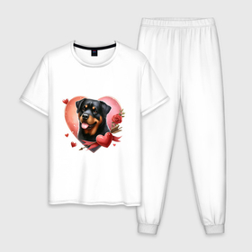 Мужская пижама хлопок с принтом Ротвейлер в сердце с розой в Курске, 100% хлопок | брюки и футболка прямого кроя, без карманов, на брюках мягкая резинка на поясе и по низу штанин
 | 