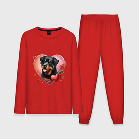 Мужская пижама с лонгсливом хлопок с принтом Ротвейлер в сердце с розой в Курске,  |  | 