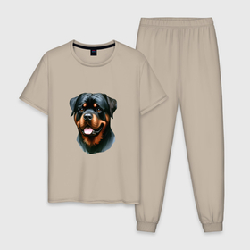 Мужская пижама хлопок с принтом Ротвейлер портрет в Курске, 100% хлопок | брюки и футболка прямого кроя, без карманов, на брюках мягкая резинка на поясе и по низу штанин
 | 