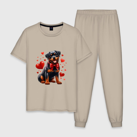 Мужская пижама хлопок с принтом Люблю ротвейлера в Курске, 100% хлопок | брюки и футболка прямого кроя, без карманов, на брюках мягкая резинка на поясе и по низу штанин
 | 
