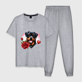 Мужская пижама хлопок с принтом Ротвейлер с сердцем и розой в Петрозаводске, 100% хлопок | брюки и футболка прямого кроя, без карманов, на брюках мягкая резинка на поясе и по низу штанин
 | 