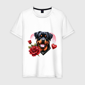 Мужская футболка хлопок с принтом Ротвейлер с сердцем и розой в Белгороде, 100% хлопок | прямой крой, круглый вырез горловины, длина до линии бедер, слегка спущенное плечо. | 