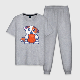 Мужская пижама хлопок с принтом Котик с мячиком в Кировске, 100% хлопок | брюки и футболка прямого кроя, без карманов, на брюках мягкая резинка на поясе и по низу штанин
 | 