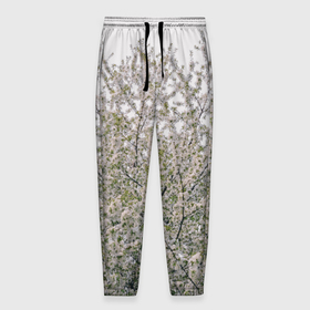 Мужские брюки 3D с принтом Цветение вишни, фотография в Тюмени, 100% полиэстер | манжеты по низу, эластичный пояс регулируется шнурком, по бокам два кармана без застежек, внутренняя часть кармана из мелкой сетки | 