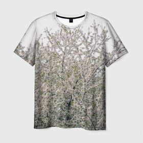 Мужская футболка 3D с принтом Цветение вишни, фотография в Белгороде, 100% полиэфир | прямой крой, круглый вырез горловины, длина до линии бедер | Тематика изображения на принте: 