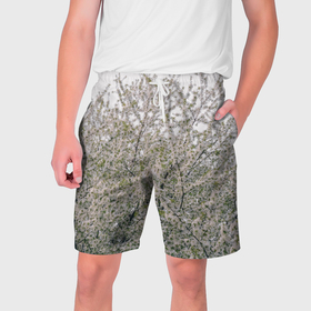 Мужские шорты 3D с принтом Цветение вишни, фотография в Екатеринбурге,  полиэстер 100% | прямой крой, два кармана без застежек по бокам. Мягкая трикотажная резинка на поясе, внутри которой широкие завязки. Длина чуть выше колен | 