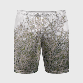 Мужские шорты спортивные с принтом Цветение вишни, фотография в Белгороде,  |  | Тематика изображения на принте: 