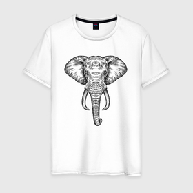 Мужская футболка хлопок с принтом Голова слона в Екатеринбурге, 100% хлопок | прямой крой, круглый вырез горловины, длина до линии бедер, слегка спущенное плечо. | 