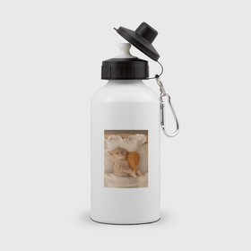Бутылка спортивная с принтом Мем котик с куриной ножкой в Новосибирске, металл | емкость — 500 мл, в комплекте две пластиковые крышки и карабин для крепления | Тематика изображения на принте: 