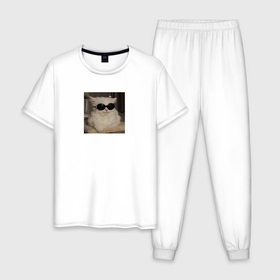 Мужская пижама хлопок с принтом Кот мем в крутых очках в Белгороде, 100% хлопок | брюки и футболка прямого кроя, без карманов, на брюках мягкая резинка на поясе и по низу штанин
 | 