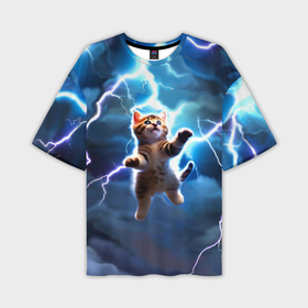 Мужская футболка oversize 3D с принтом Гром кот и молния ,  |  | 