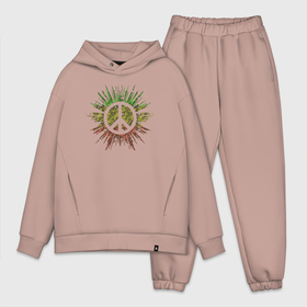Мужской костюм oversize хлопок с принтом Peace splash ,  |  | Тематика изображения на принте: 
