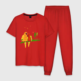 Мужская пижама хлопок с принтом Пара влюбленных попугаев на ветке в Тюмени, 100% хлопок | брюки и футболка прямого кроя, без карманов, на брюках мягкая резинка на поясе и по низу штанин
 | 