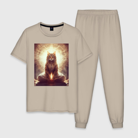 Мужская пижама хлопок с принтом Магический кот с огнем , 100% хлопок | брюки и футболка прямого кроя, без карманов, на брюках мягкая резинка на поясе и по низу штанин
 | 