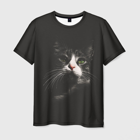 Мужская футболка 3D с принтом Красивый котейка в Кировске, 100% полиэфир | прямой крой, круглый вырез горловины, длина до линии бедер | 