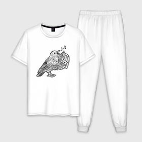 Мужская пижама хлопок с принтом Bird song в Петрозаводске, 100% хлопок | брюки и футболка прямого кроя, без карманов, на брюках мягкая резинка на поясе и по низу штанин
 | 