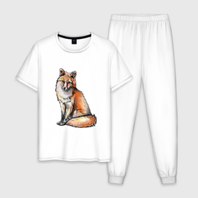Мужская пижама хлопок с принтом Рыжая лиса рисунок в Тюмени, 100% хлопок | брюки и футболка прямого кроя, без карманов, на брюках мягкая резинка на поясе и по низу штанин
 | 