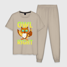 Мужская пижама хлопок с принтом Owl right   каламбур отлично в Курске, 100% хлопок | брюки и футболка прямого кроя, без карманов, на брюках мягкая резинка на поясе и по низу штанин
 | 