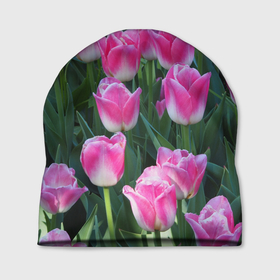 Шапка 3D с принтом Розово белые тюльпаны в Петрозаводске, 100% полиэстер | универсальный размер, печать по всей поверхности изделия | Тематика изображения на принте: 