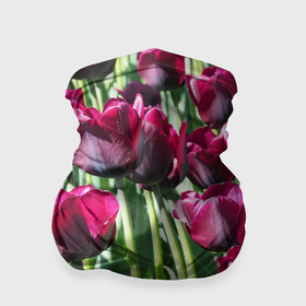 Бандана-труба 3D с принтом Темно бордовые тюльпаны в Петрозаводске, 100% полиэстер, ткань с особыми свойствами — Activecool | плотность 150‒180 г/м2; хорошо тянется, но сохраняет форму | Тематика изображения на принте: 