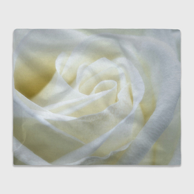 Плед 3D с принтом Бутон белой розы в Белгороде, 100% полиэстер | закругленные углы, все края обработаны. Ткань не мнется и не растягивается | Тематика изображения на принте: 
