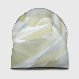 Шапка 3D с принтом Бутон белой розы , 100% полиэстер | универсальный размер, печать по всей поверхности изделия | 