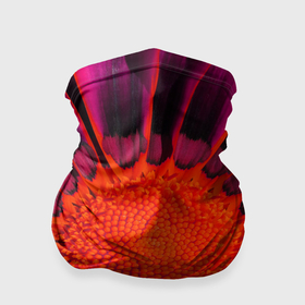 Бандана-труба 3D с принтом Ярко оранжево красный цветок в Тюмени, 100% полиэстер, ткань с особыми свойствами — Activecool | плотность 150‒180 г/м2; хорошо тянется, но сохраняет форму | 
