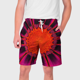 Мужские шорты 3D с принтом Ярко оранжево красный цветок в Кировске,  полиэстер 100% | прямой крой, два кармана без застежек по бокам. Мягкая трикотажная резинка на поясе, внутри которой широкие завязки. Длина чуть выше колен | 