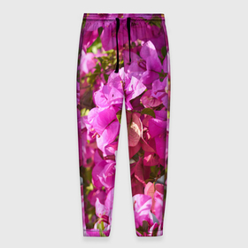 Мужские брюки 3D с принтом Розовые живые цветы в Кировске, 100% полиэстер | манжеты по низу, эластичный пояс регулируется шнурком, по бокам два кармана без застежек, внутренняя часть кармана из мелкой сетки | 