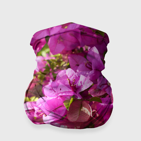 Бандана-труба 3D с принтом Розовые живые цветы в Петрозаводске, 100% полиэстер, ткань с особыми свойствами — Activecool | плотность 150‒180 г/м2; хорошо тянется, но сохраняет форму | 