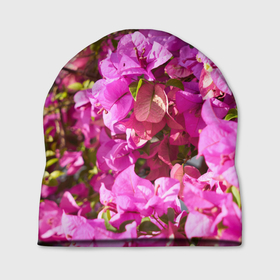 Шапка 3D с принтом Розовые живые цветы в Кировске, 100% полиэстер | универсальный размер, печать по всей поверхности изделия | 