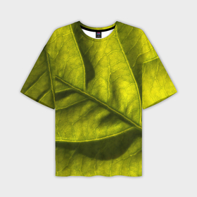 Мужская футболка oversize 3D с принтом Светло зеленый листик в Екатеринбурге,  |  | Тематика изображения на принте: 