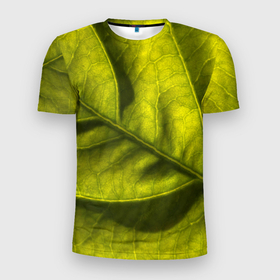Мужская футболка 3D Slim с принтом Светло зеленый листик в Екатеринбурге, 100% полиэстер с улучшенными характеристиками | приталенный силуэт, круглая горловина, широкие плечи, сужается к линии бедра | Тематика изображения на принте: 