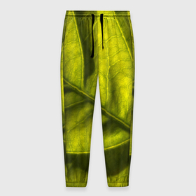 Мужские брюки 3D с принтом Светло зеленый листик в Санкт-Петербурге, 100% полиэстер | манжеты по низу, эластичный пояс регулируется шнурком, по бокам два кармана без застежек, внутренняя часть кармана из мелкой сетки | 