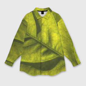 Мужская рубашка oversize 3D с принтом Светло зеленый листик в Курске,  |  | Тематика изображения на принте: 