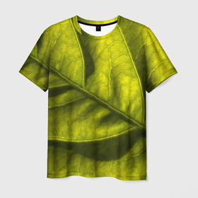 Мужская футболка 3D с принтом Светло зеленый листик в Екатеринбурге, 100% полиэфир | прямой крой, круглый вырез горловины, длина до линии бедер | Тематика изображения на принте: 