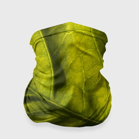 Бандана-труба 3D с принтом Светло зеленый листик в Екатеринбурге, 100% полиэстер, ткань с особыми свойствами — Activecool | плотность 150‒180 г/м2; хорошо тянется, но сохраняет форму | Тематика изображения на принте: 