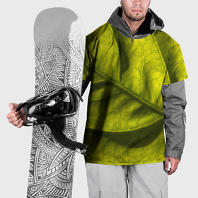 Накидка на куртку 3D с принтом Светло зеленый листик в Курске, 100% полиэстер |  | 