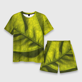 Мужской костюм с шортами 3D с принтом Светло зеленый листик в Курске,  |  | Тематика изображения на принте: 
