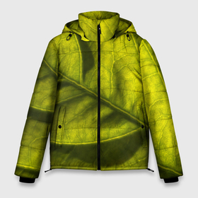 Мужская зимняя куртка 3D с принтом Светло зеленый листик в Тюмени, верх — 100% полиэстер; подкладка — 100% полиэстер; утеплитель — 100% полиэстер | длина ниже бедра, свободный силуэт Оверсайз. Есть воротник-стойка, отстегивающийся капюшон и ветрозащитная планка. 

Боковые карманы с листочкой на кнопках и внутренний карман на молнии. | 