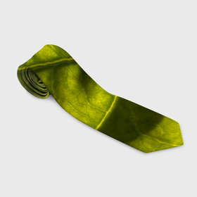 Галстук 3D с принтом Светло зеленый листик , 100% полиэстер | Длина 148 см; Плотность 150-180 г/м2 | Тематика изображения на принте: 