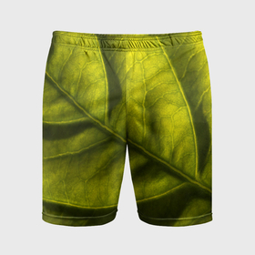 Мужские шорты спортивные с принтом Светло зеленый листик в Тюмени,  |  | 